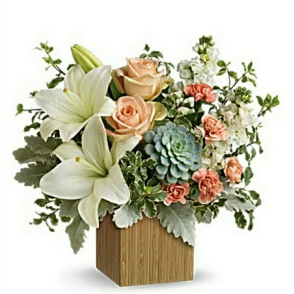 Kat Burki Face Cream Vitamin C Arnica + Reshi Mushroom Cult Fav Full Size NWT - Picture 9 of 12